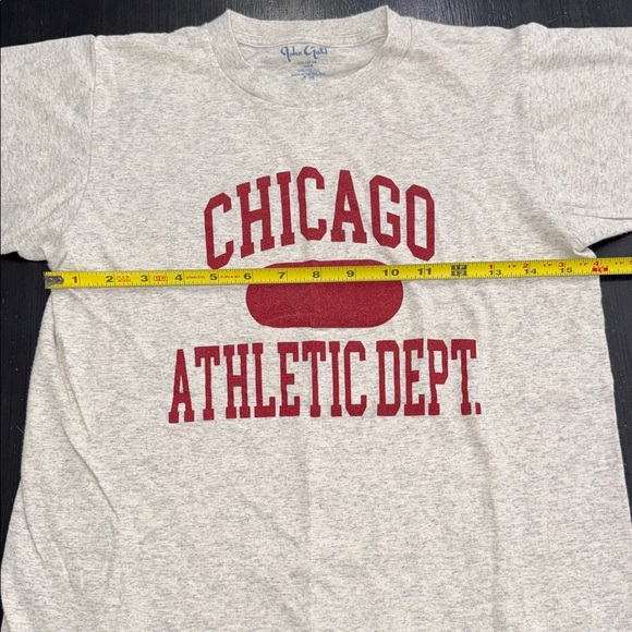 john galt for brandy melville short sleeve gray chicago t shirt one size - Picture 4 of 5